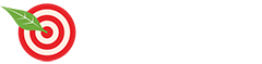 Vinsic